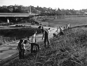 In 1961, a young crew plants trees on the paved path between the clubhouse and the lower picnic areas. The baseball fields are finished, and the ramp from the 134 freeway to Colorado Boulevard stands in the background.  (Photograph by Joe Friezer.)