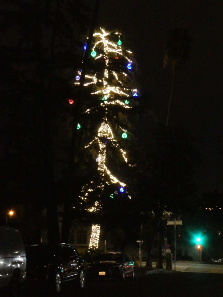 December 23, 2020 Christmas tree at City Hall(EW photo)